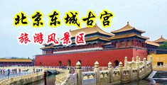 鸡吧操逼激情视频中国北京-东城古宫旅游风景区